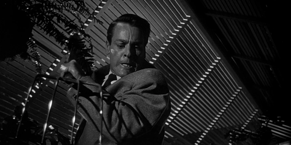 Fotograma de la película La invasión de los ladrones de cuerpos (Don Siegel, 1956)