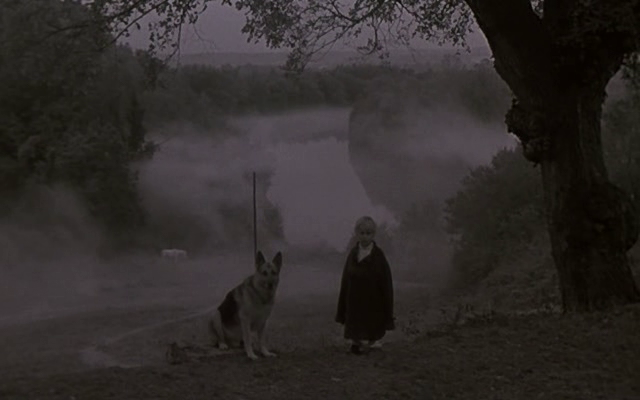 Película Nostalgia de Andrei Tarkovski