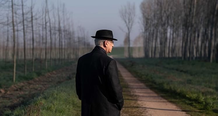 Ver película La Grazia de Paolo Sorrentino