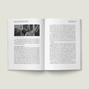 Libro Volver al cine. Pensar, escribir y analizar las películas